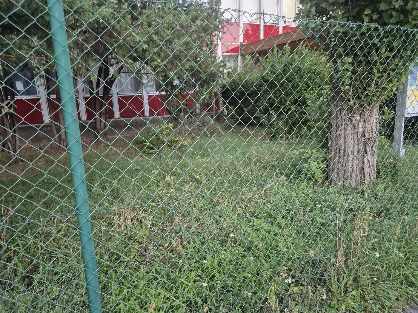 Neupravená zeleň a vysoká tráva za plotom pri Spoločenskom dome